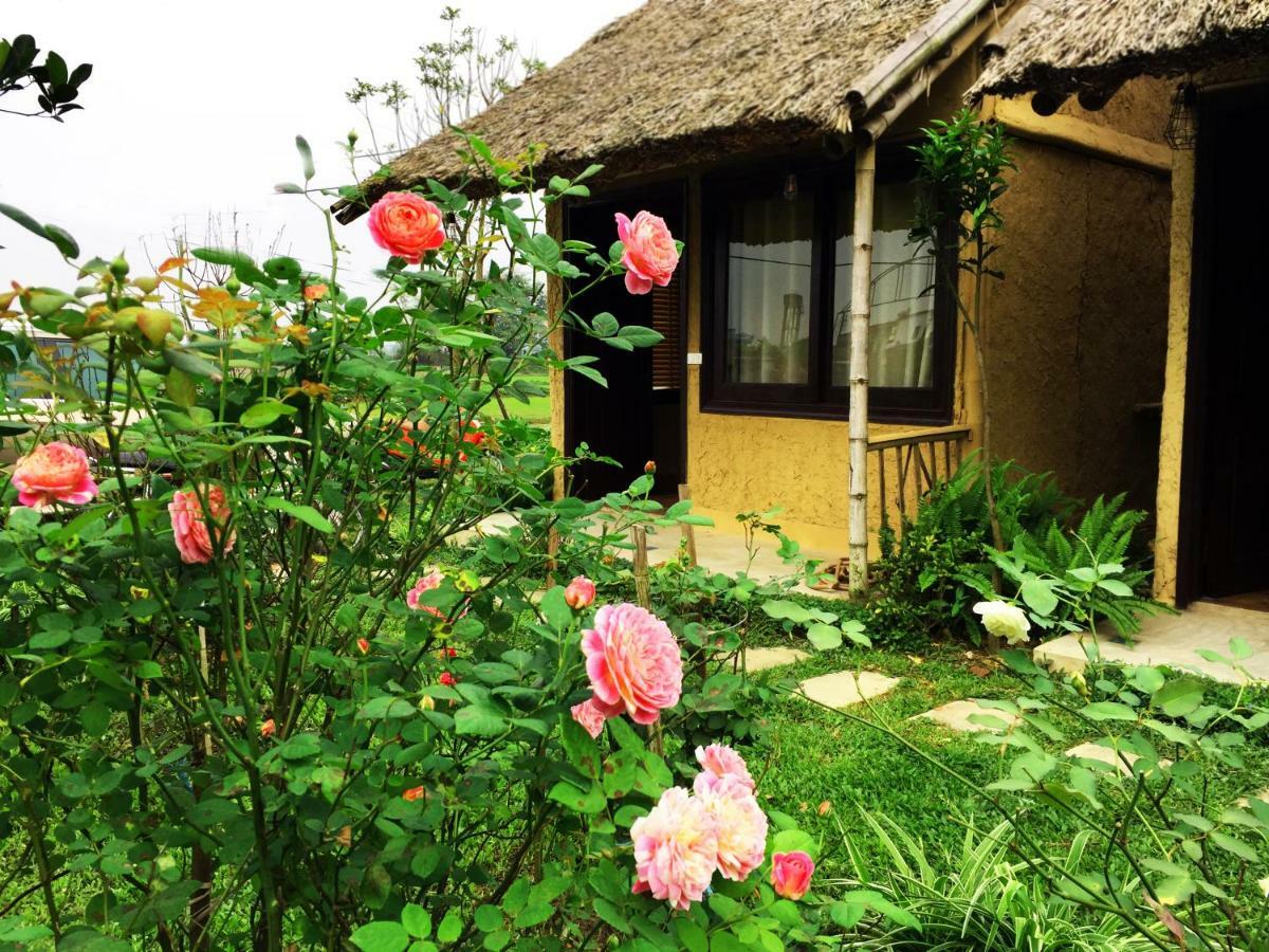 May Homestay - Tam Coc Local Village Ninh Bình Extérieur photo