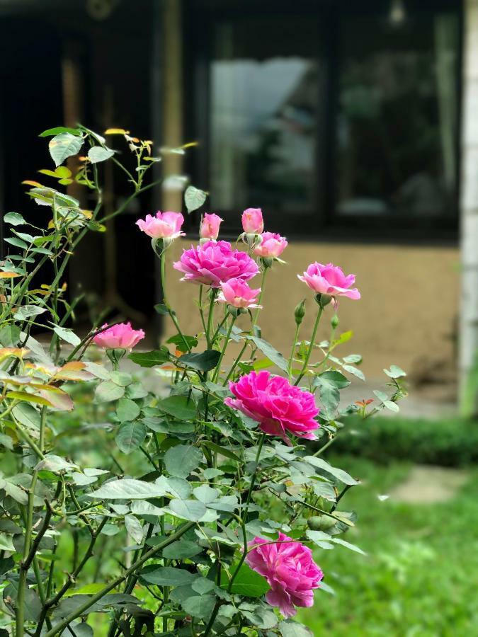 May Homestay - Tam Coc Local Village Ninh Bình Extérieur photo