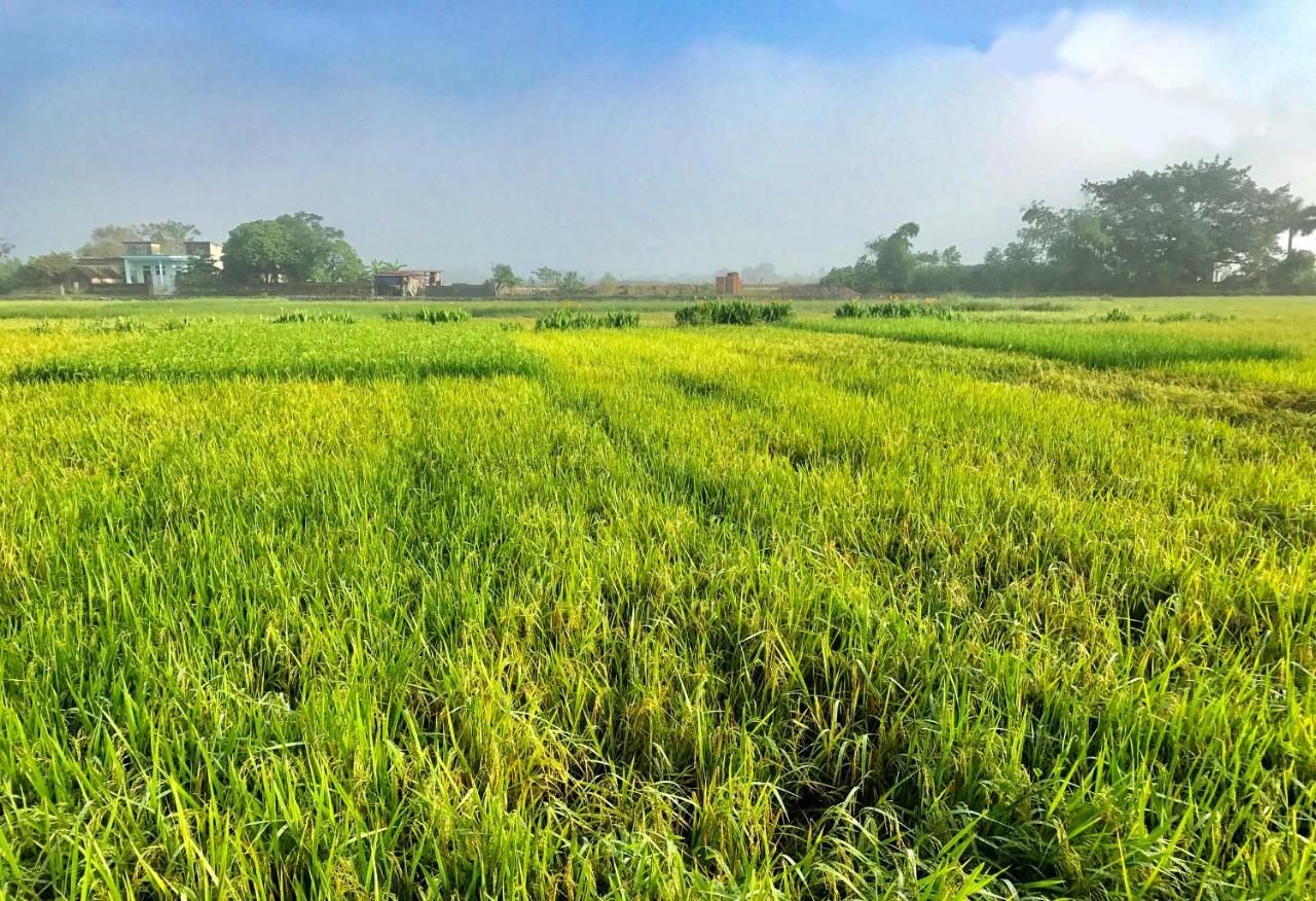 May Homestay - Tam Coc Local Village Ninh Bình Extérieur photo