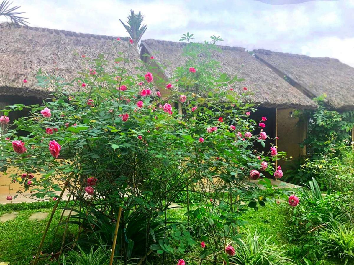 May Homestay - Tam Coc Local Village Ninh Bình Extérieur photo